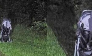 Woman issues terrifying warning after finding a stroller abandoned on the side of the road