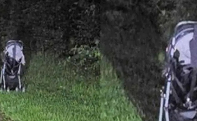 Woman issues terrifying warning after finding a stroller abandoned on the side of the road