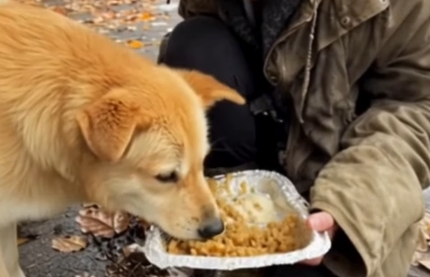 I Helped A Homeless Woman With My Entire Paycheck—Half A Year Later, Her Letter Changed My Life