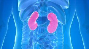 10 Warning Signs Your Kidneys May Be in Danger