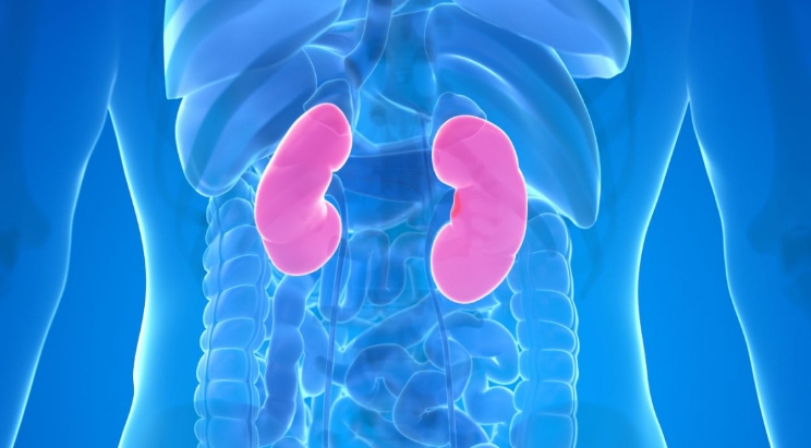 10 Warning Signs Your Kidneys May Be in Danger