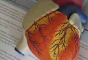 Stroke prevention tips: 3 habits to avoid after eating and 4 before bedtime