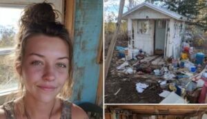 Recently divorced woman moves into 10’x11′ shed and coverts it into lovely tiny home