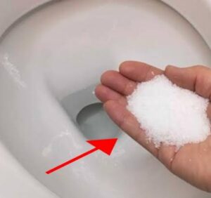 Put salt in the toilet – This is something plumbers will never tell you
