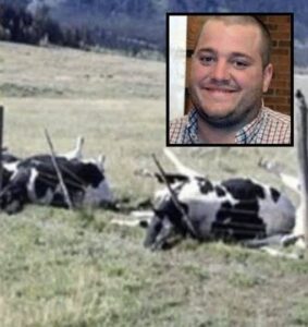 Farmer And 16 Cows Found Dead, Cause Of Death Finally Discovered. Check the first comment!