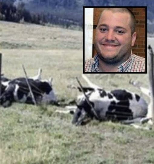 Farmer And 16 Cows Found Dead, Cause Of Death Finally Discovered. Check the first comment!