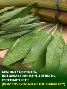 Everything you can do with this plant: all of Grandma’s uses