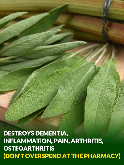 Everything you can do with this plant: all of Grandma’s uses