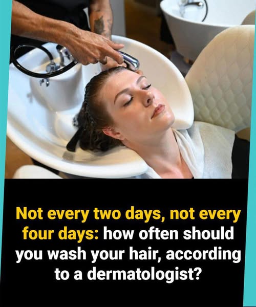 Not every two days, not every four days: how often should you wash your hair, according to a dermatologist?