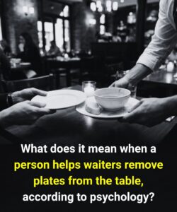 Introvert or Extrovert When Someone Helps Waiters Clear Plates? Psychology Explains