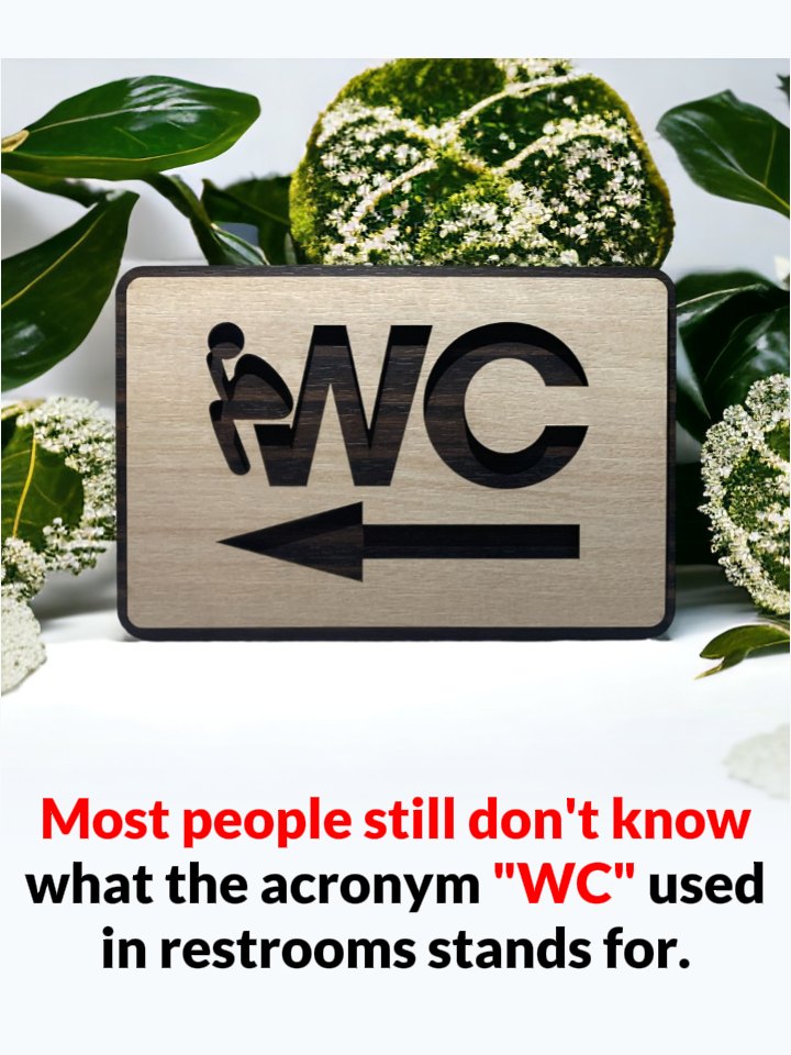 Why Do We See “WC” and Toilet Icons Everywhere?