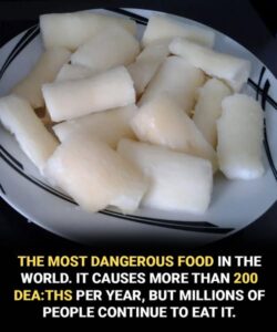 Toxic if improperly prepared: another side of a widely consumed food worldwide