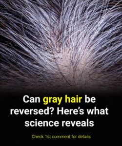 Can gray hair be reversed? Science answers.