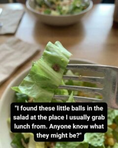 She Thought It Was Quinoa—What She Discovered Instead Changed How She Prepares Food