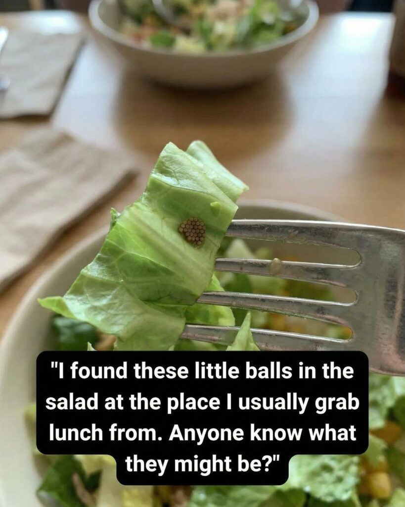 She Thought It Was Quinoa—What She Discovered Instead Changed How She Prepares Food