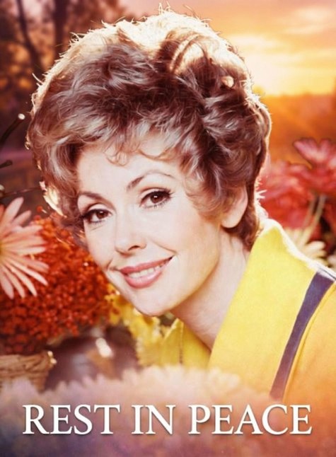 A Tribute to a Celebrated Film Star and Golden Globe Recipient