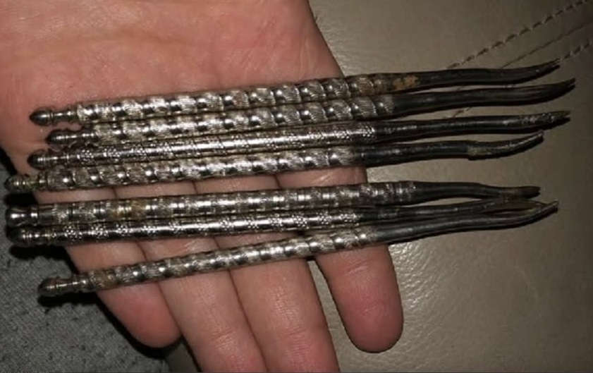 Odd nut-gathering device has the internet divided