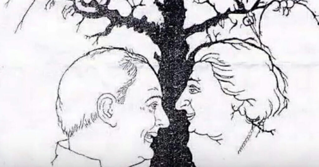 Only a few people can find all the faces hidden in this tree – are you one of them?