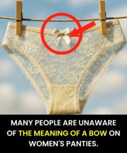 Little Details on Women’s Underwear Everyone Notices but Few Understand