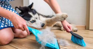 8 subtle signs that a person does not clean their home