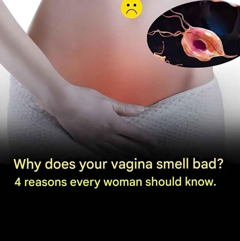 Why does your vagina smell bad? 4 reasons every woman should know.