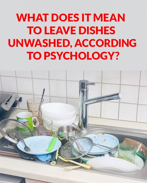 The Sink as a Mental Mirror: What Your Dirty Dishes Say About Your Well-Being