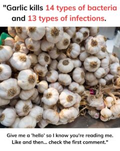 Garlic and Clove: Two Treasures for Your Health