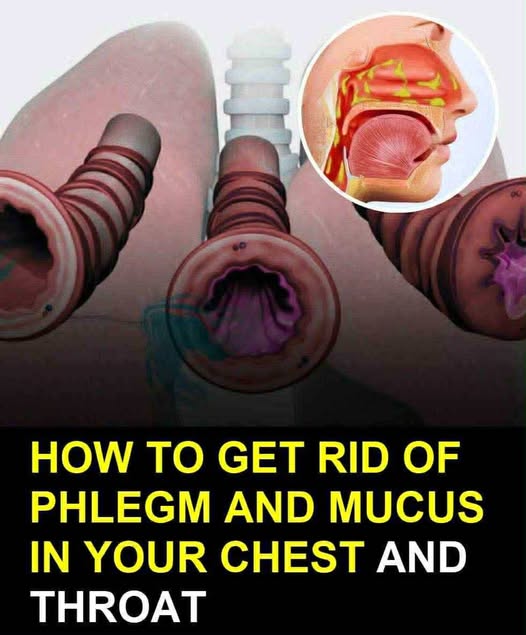 How to Naturally Clear Phlegm and Mucus from Chest and Throat