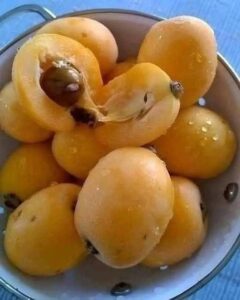 I Finally Discovered the Name of a Mysterious Fruit I’d Been Curious About for Years