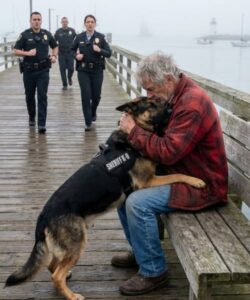 Police ordered a K9 to attack an elderly veteran—but the dog’s reaction stunned everyone and changed everything