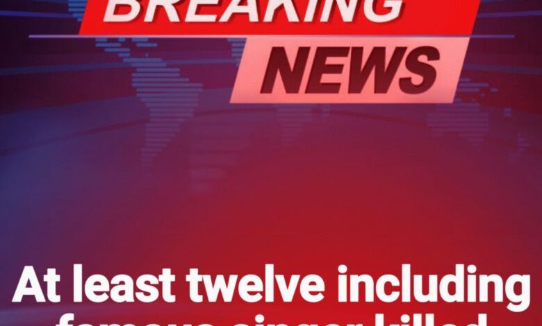 SOTD – Twelve dead including famous singer in plane crash off remote island!