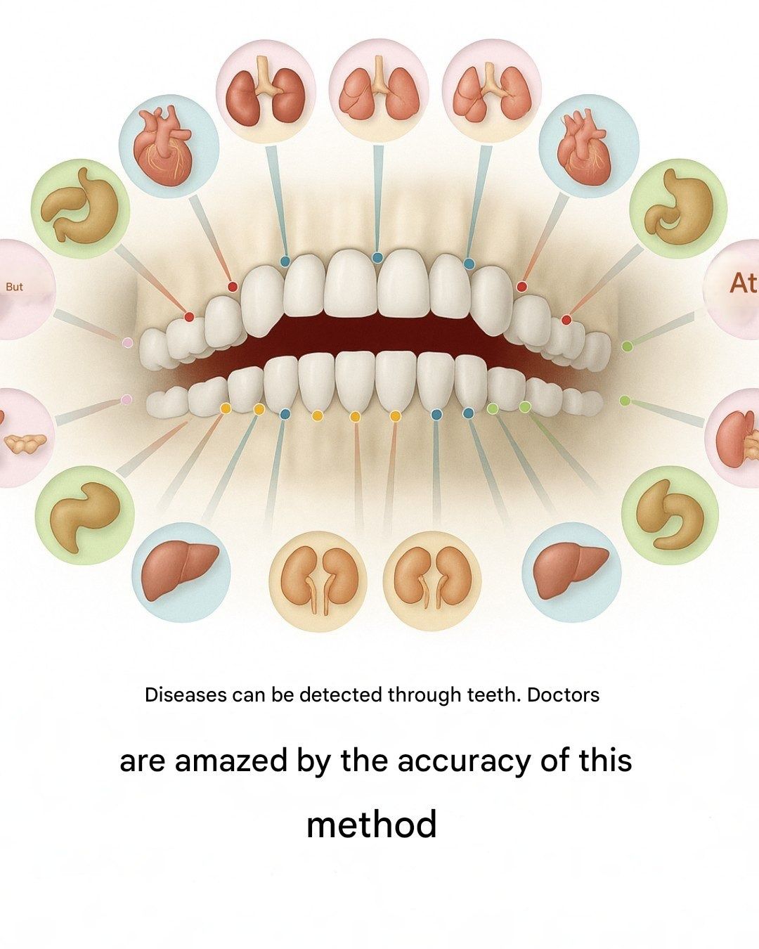 Each tooth is connected to an organ in the body: dental pain can be an indicator of future problems.