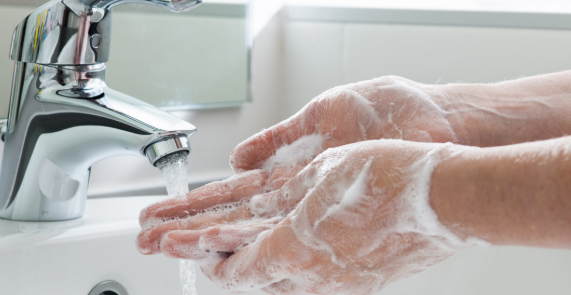 Search Results for: What Experts Say Your Daily Shower Routine Reveals About You