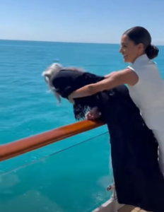 “Say hi to the sharks,” my daughter-in-law whispered as she shoved me off the yacht.