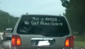 I decided, out of curiosity, to place a night-vision camera in my tent to observe the forest at night, A fawn entered during the night, and its actions left me horrified!