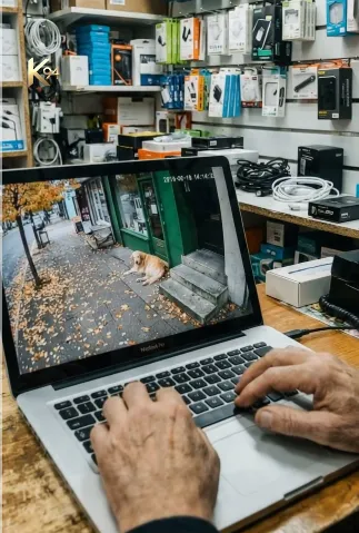 A Man Turned Away a Stray Dog and Lived to Regret It