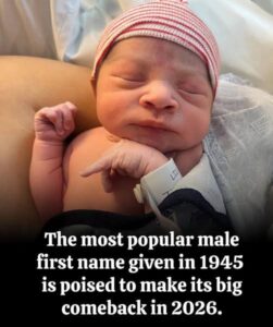 The Return of Name: Why 2026 Belongs to the “Neo-Vintage” Name