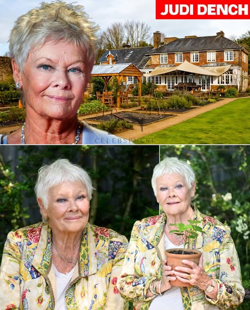 A Quiet Health Update on Dame Judi Dench, 91, Moves Fans as the Beloved Actress Rests at Home Surrounded by Family