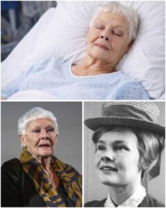 💖🙏 Britain Falls Silent After Gentle Update on Dame Judi Dench at 91 — A Fragile Time