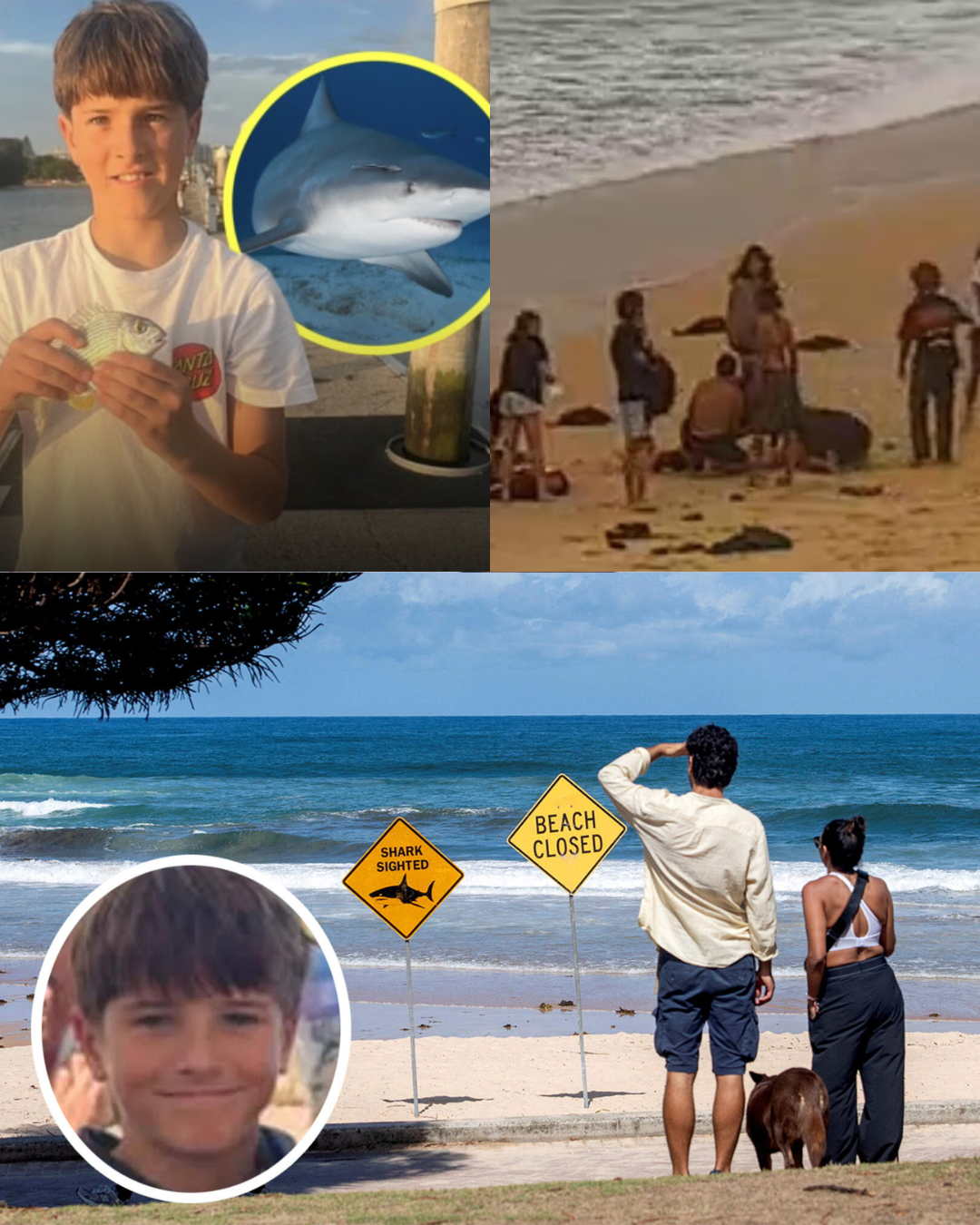 “It came back.” A witness in a state of panic told police that the shark did not disappear after the initial attack on Nico Antic.“It came back.” A witness in a state of panic told police that the shark did not disappear after the initial attack on Nico Antic. What the witness claims happened 12–15 seconds later is now the focus of the investigation