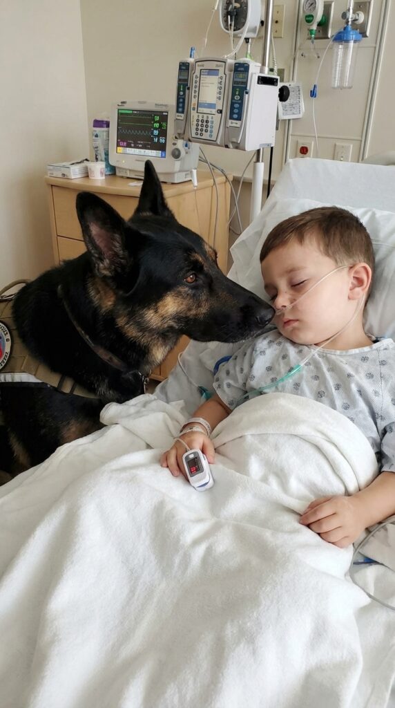 The b0y was being kept alive solely by machines, and the doctors had already given up hope but the moment his dog entered the room, everything changed.