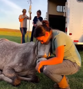 When Echo Finally Fell Into Kindness.