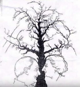 Only a few people can find all the faces hidden in this tree – are you one of them?