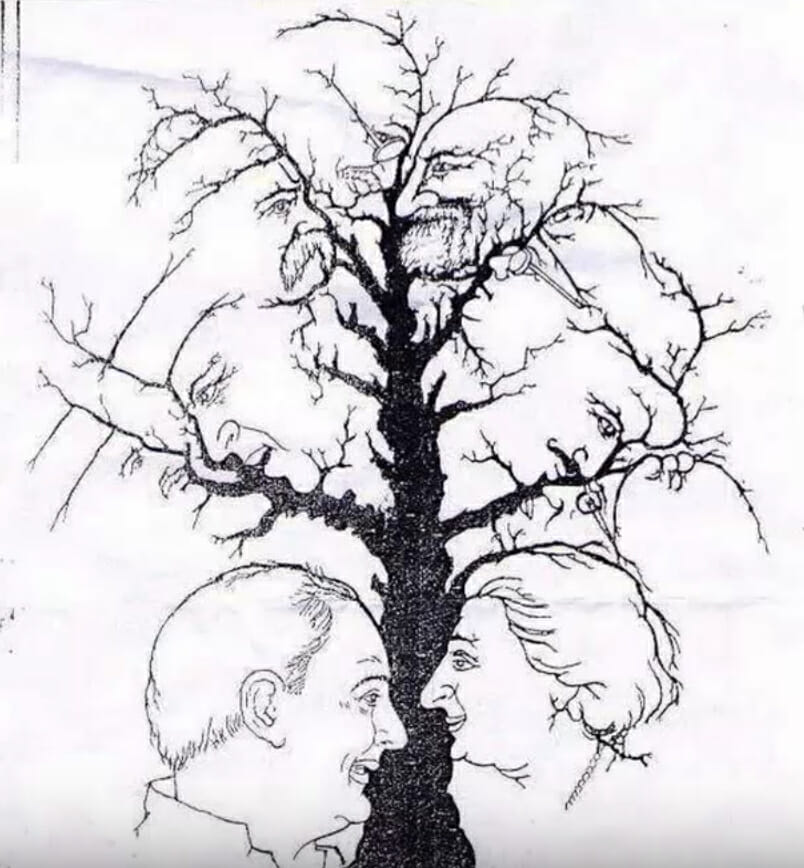 Only a few people can find all the faces hidden in this tree – are you one of them?