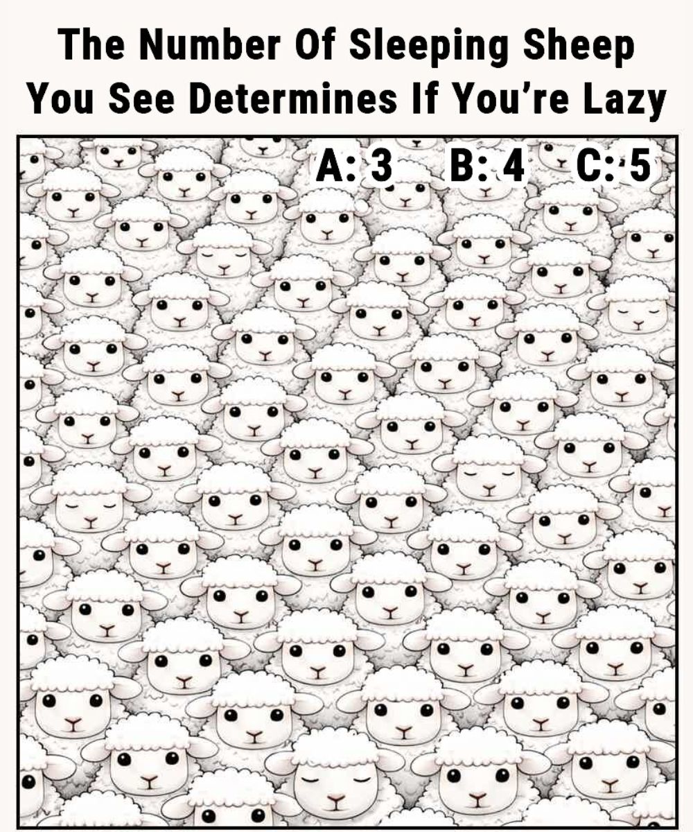 The Number Of Sleeping Sheep You See Determines If You’re Lazy