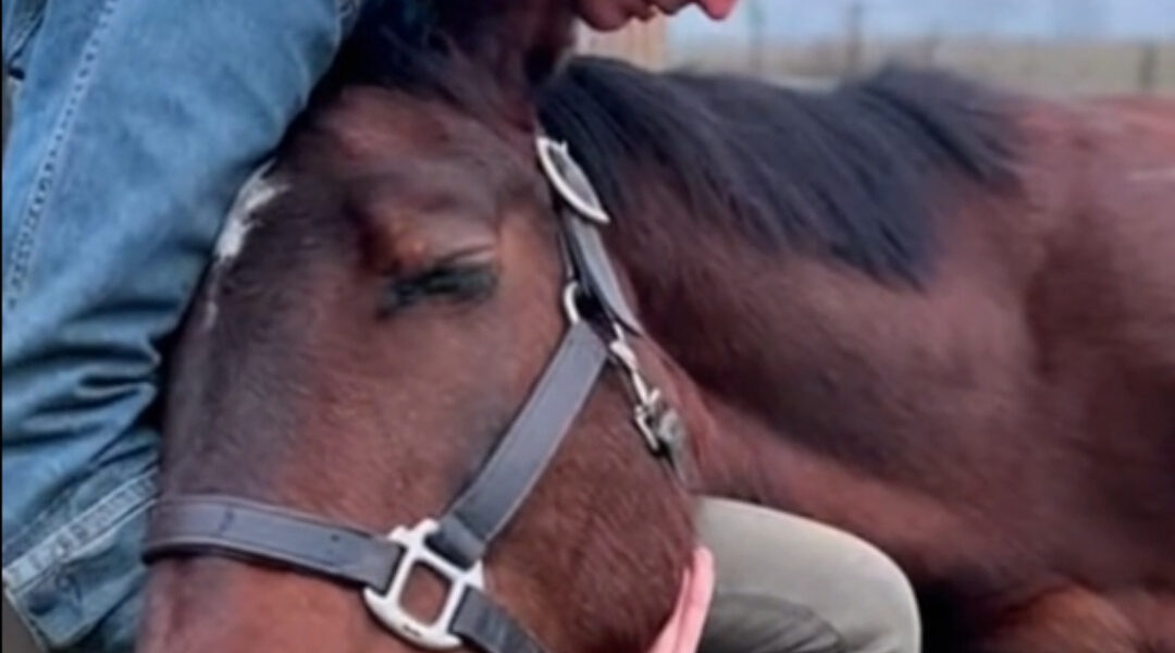 The First Time Atlas Was Allowed to Rest.