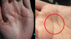 The Meaning of the “M” Line on Your Palm in Love and Marriage