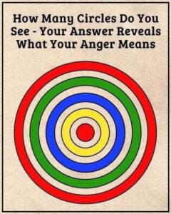 Your Narcissism Is Determined by the Number of Circles You Observe Investigating Optical Illusions
