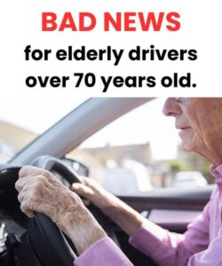 Driving licence renewal: what is the age limit and what changes after 50, 70 and 80 years old?