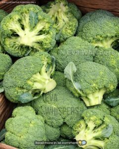 7 Powerful Things That Happen to Your Body When You Eat Broccoli Regularly